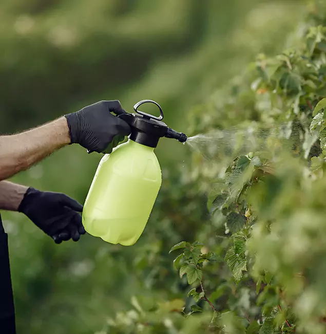 Why Medford Homeowners Choose Medford Pest Control Pro for Yard Tick Treatment?