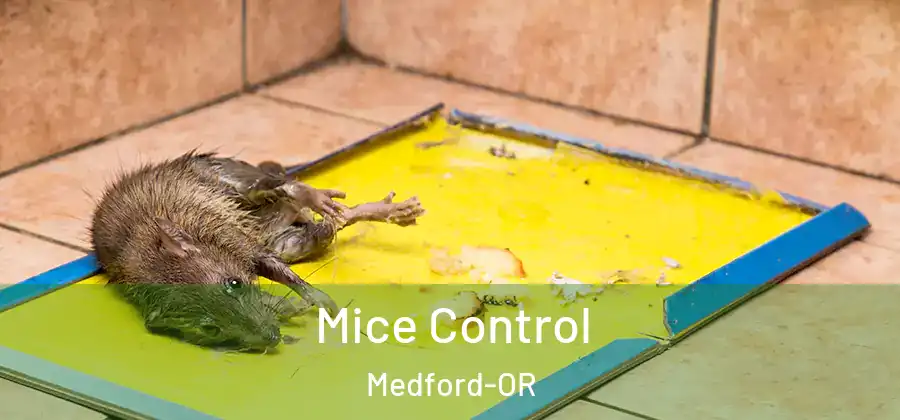 Mice Control Medford-OR