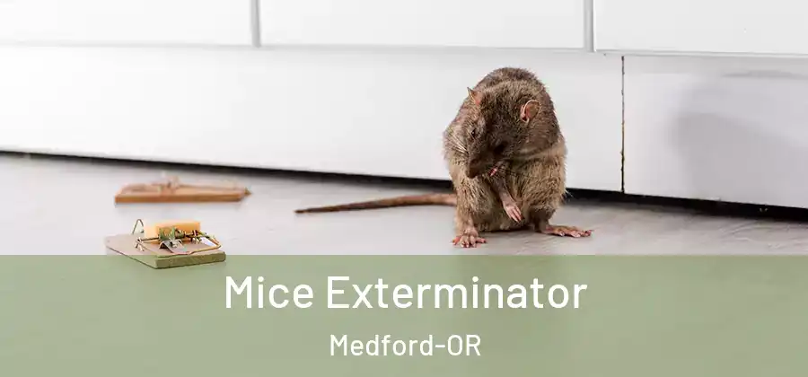 Mice Exterminator Medford-OR