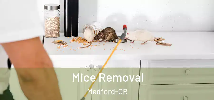  Mice Removal Medford-OR