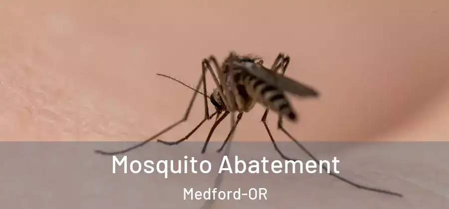 Mosquito Abatement Medford-OR