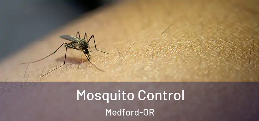 Mosquito Control Medford-OR
