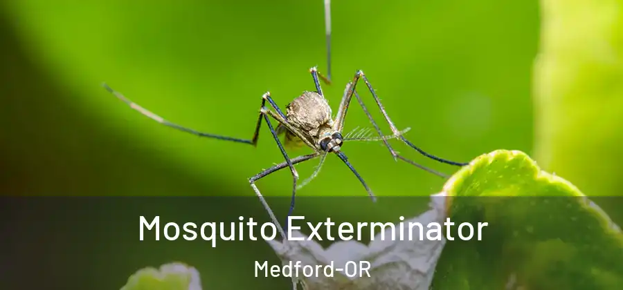  Mosquito Exterminator Medford-OR