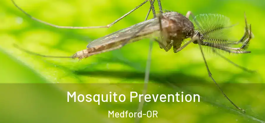Mosquito Prevention Medford-OR