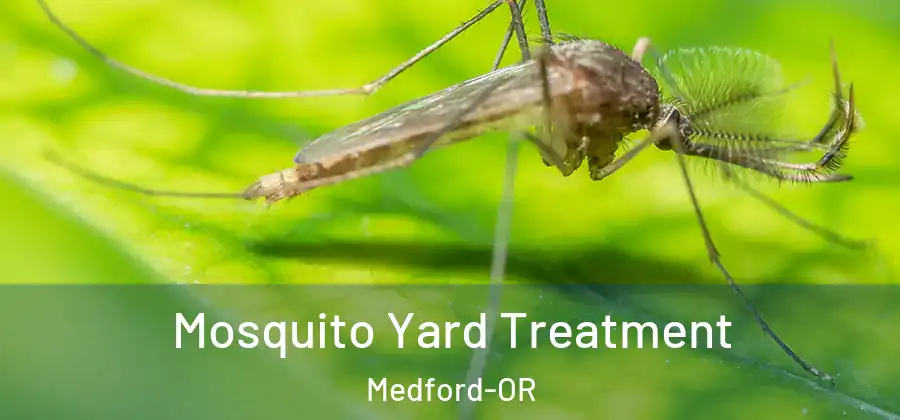 Mosquito Yard Treatment Medford-OR