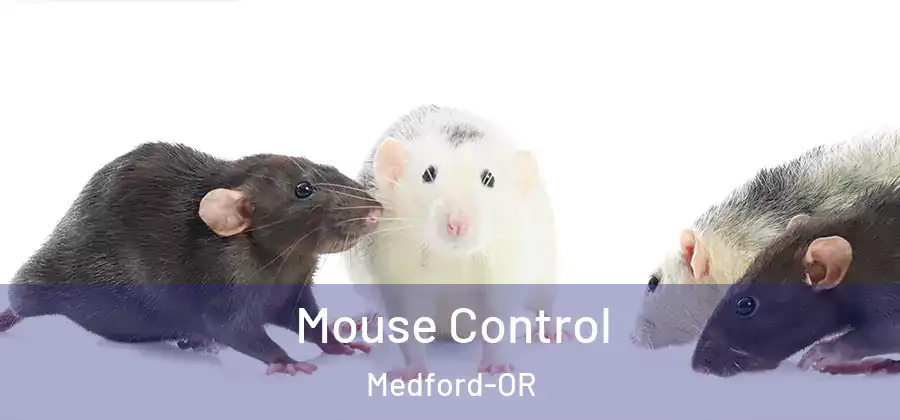  Mouse Control Medford-OR