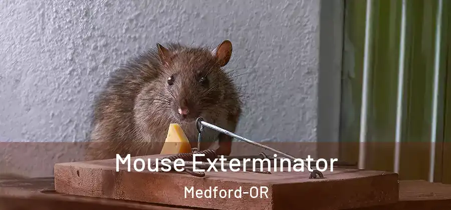 Mouse Exterminator Medford-OR