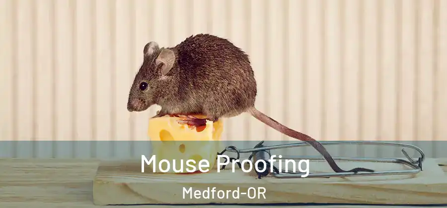  Mouse Proofing Medford-OR