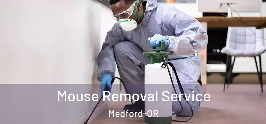 Mouse Removal Service Medford-OR
