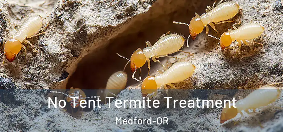  No Tent Termite Treatment Medford-OR