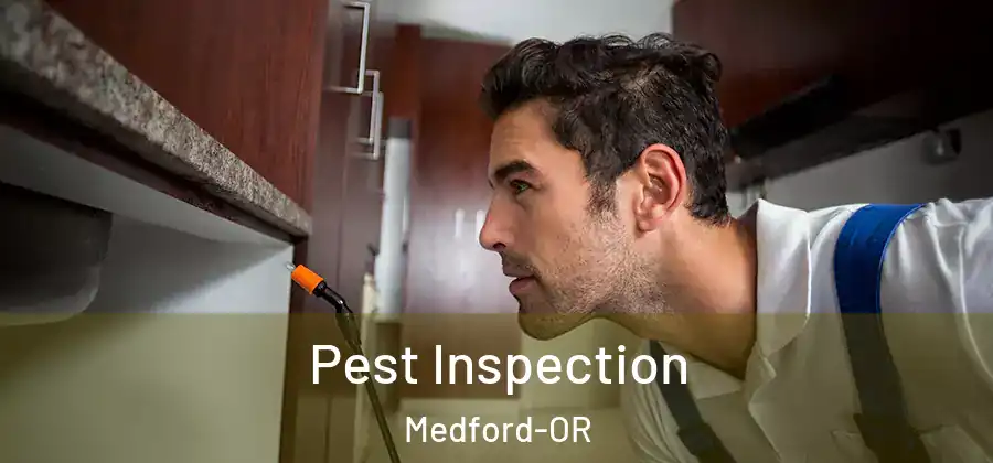 Pest Inspection Medford-OR