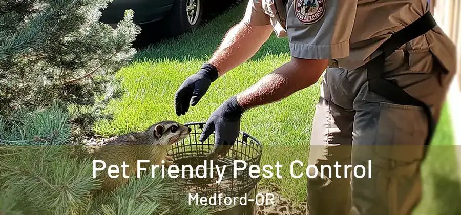  Pet Friendly Pest Control Medford-OR
