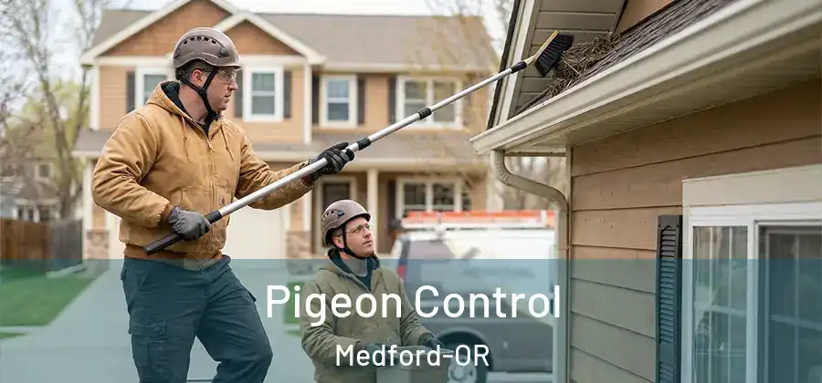 Pigeon Control Medford-OR