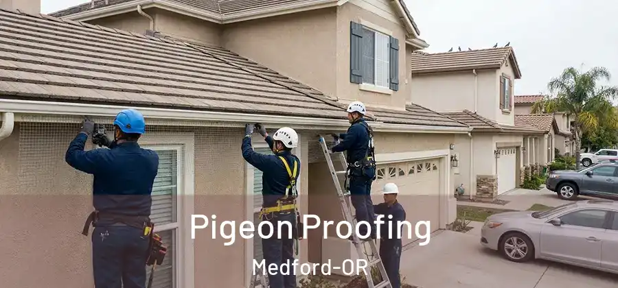 Pigeon Proofing Medford-OR