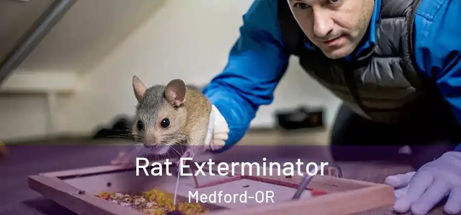 Rat Exterminator Medford-OR