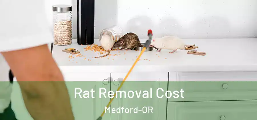 Rat Removal Cost Medford-OR