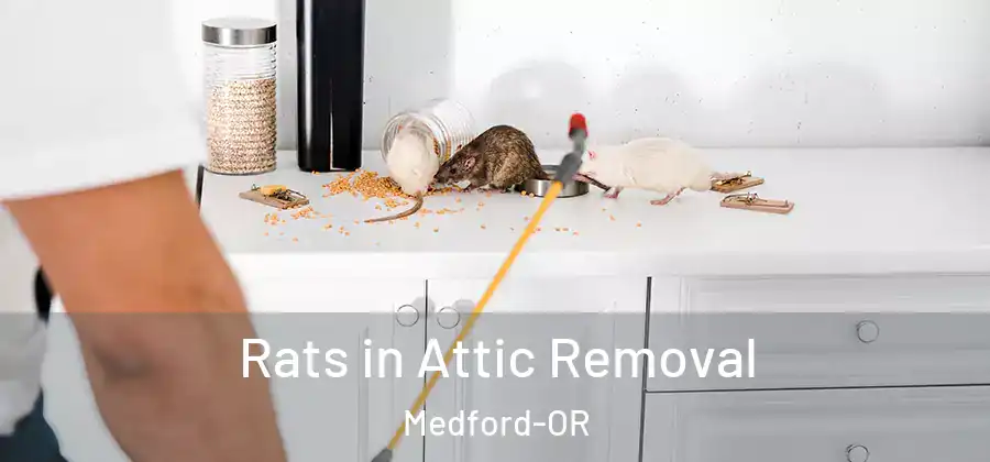 Rats in Attic Removal Medford-OR