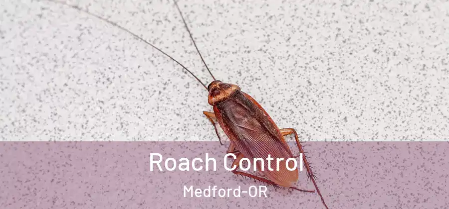  Roach Control Medford-OR