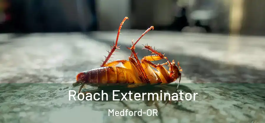  Roach Exterminator Medford-OR