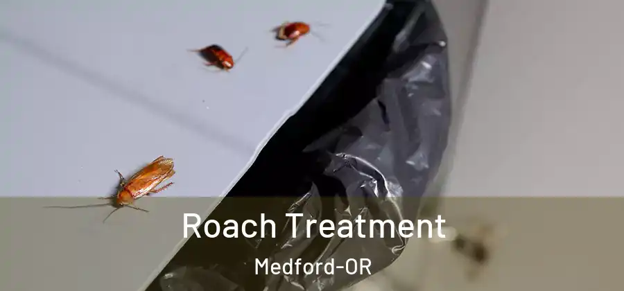 Roach Treatment Medford-OR