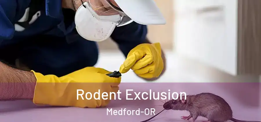 Rodent Exclusion Medford-OR
