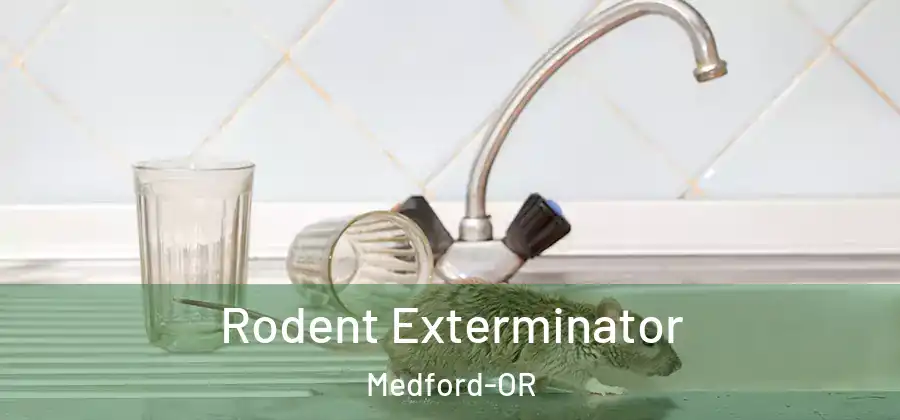  Rodent Exterminator Medford-OR