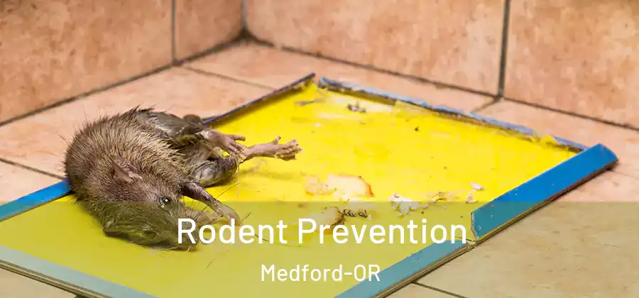 Rodent Prevention Medford-OR