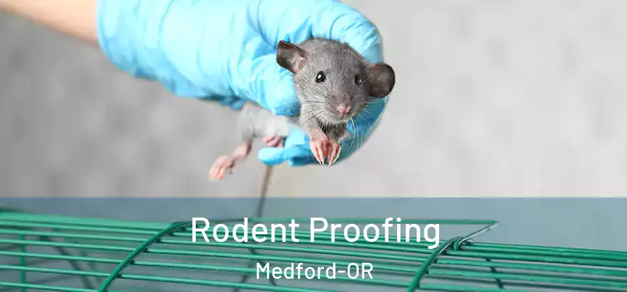 Rodent Proofing Medford-OR
