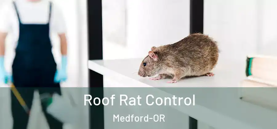 Roof Rat Control Medford-OR