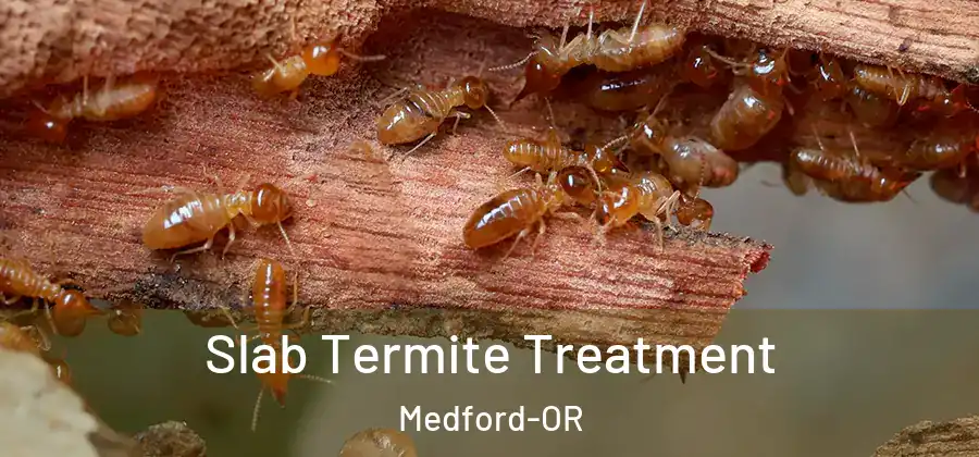 Slab Termite Treatment Medford-OR