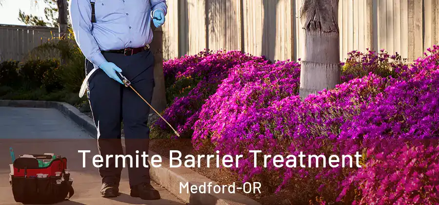 Termite Barrier Treatment Medford-OR