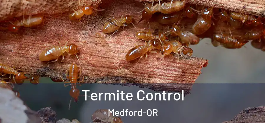  Termite Control Medford-OR