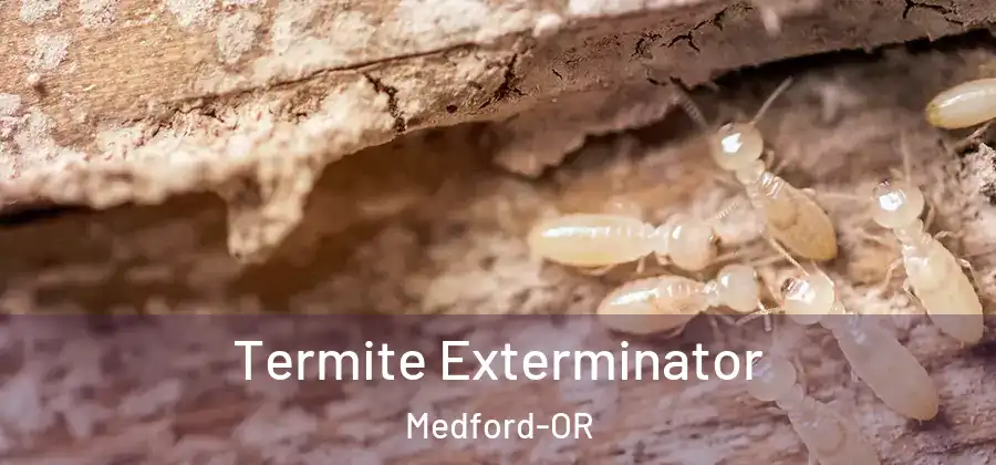 Termite Exterminator Medford-OR