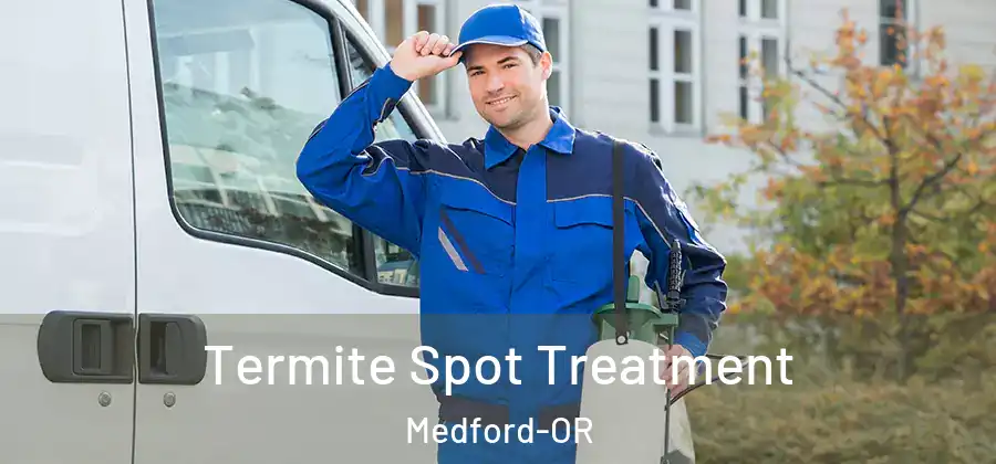 Termite Spot Treatment Medford-OR