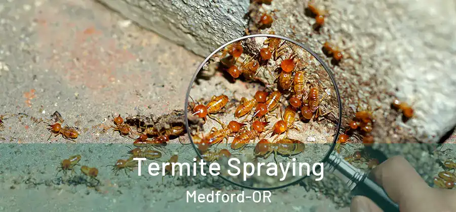 Termite Spraying Medford-OR