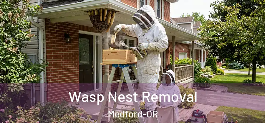 Wasp Nest Removal Medford-OR
