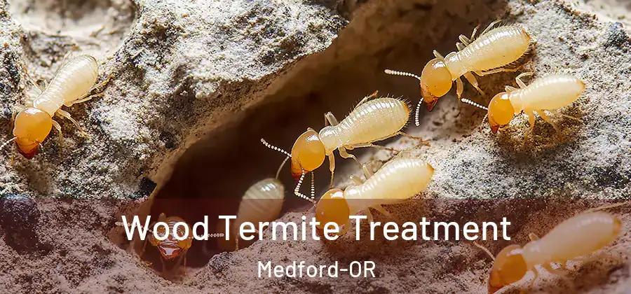  Wood Termite Treatment Medford-OR