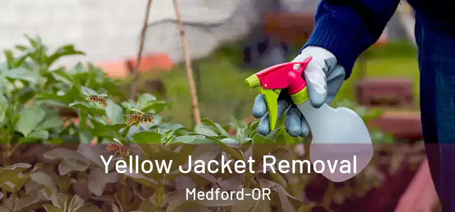 Yellow Jacket Removal Medford-OR